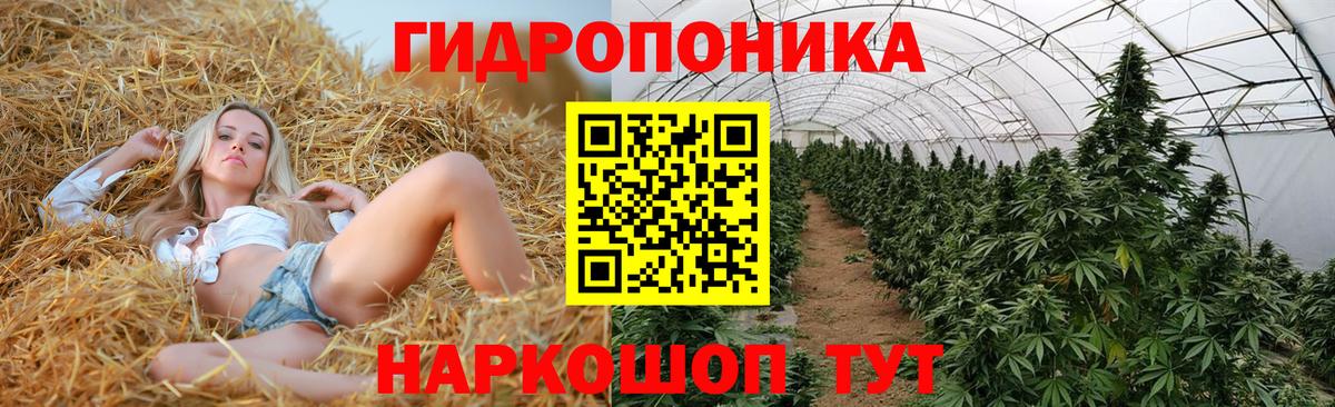 Шишки марихуана планчик  Канабис план  Канабис Amnesia  Вход с VPN  Абакан 
